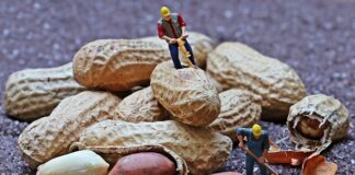 Jakimi metodami pracują nauczyciele?