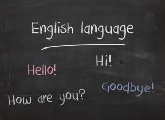 Kto może prowadzić szkole językowa?